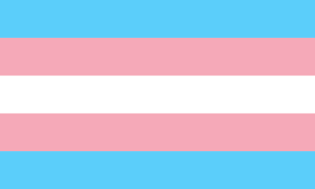 Masih Dibutuhkan Hukum Yang Jelas Untuk Para Transgender